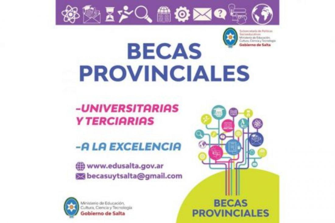 becas provinciales