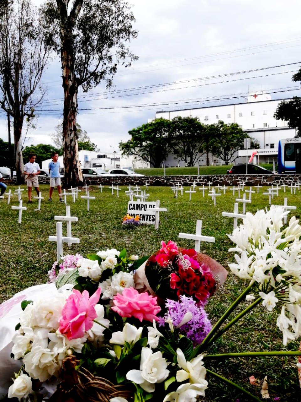 provida manifestacion materno