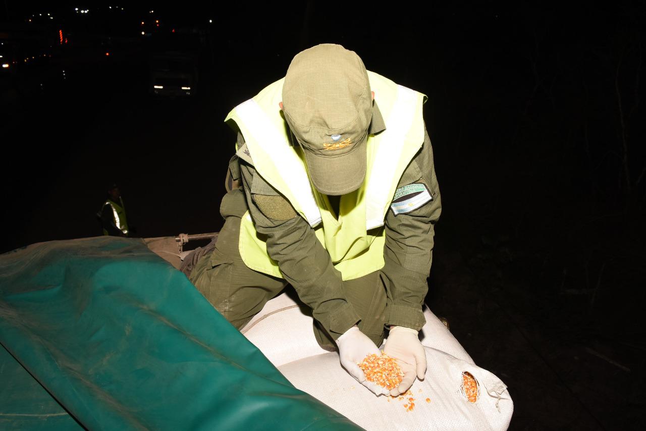 incautan_en_salta_223_toneladas_de_granos_4