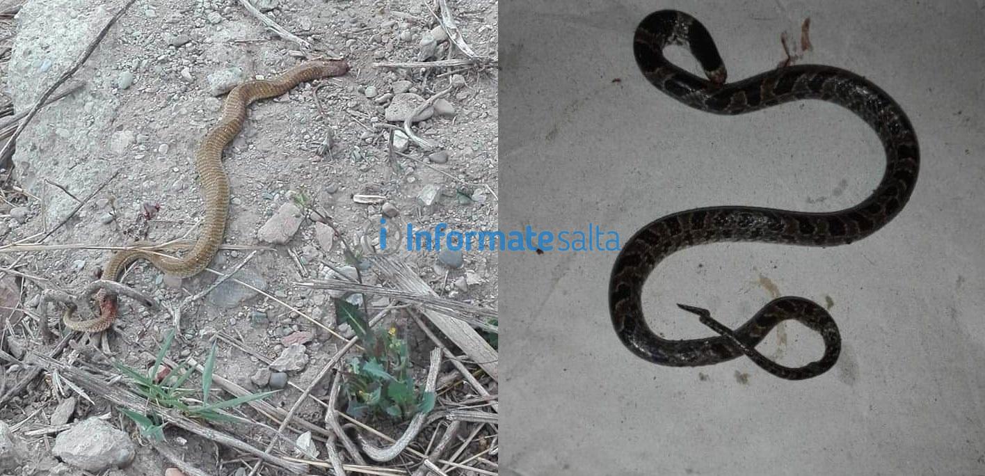 baldio - asembapras 4