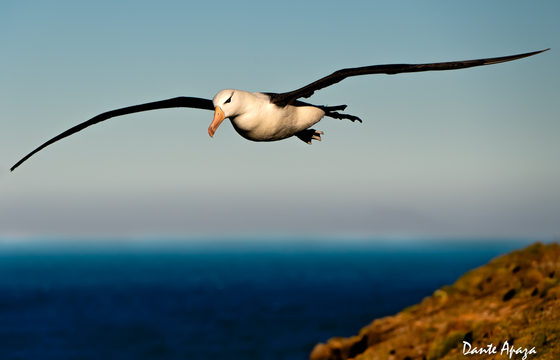 _ND56288-Editar-Editar-Editar