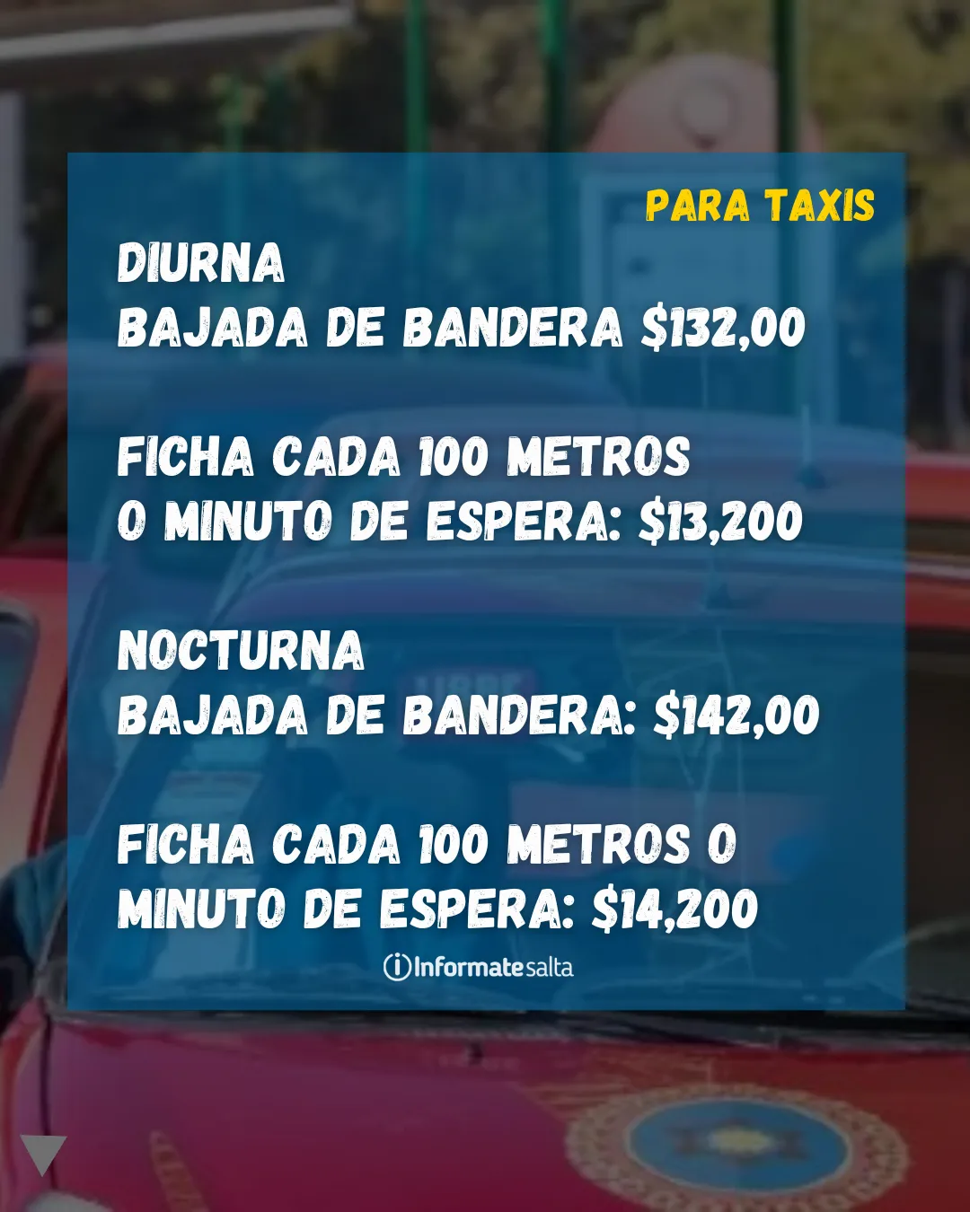 FEED otros diseños (56)