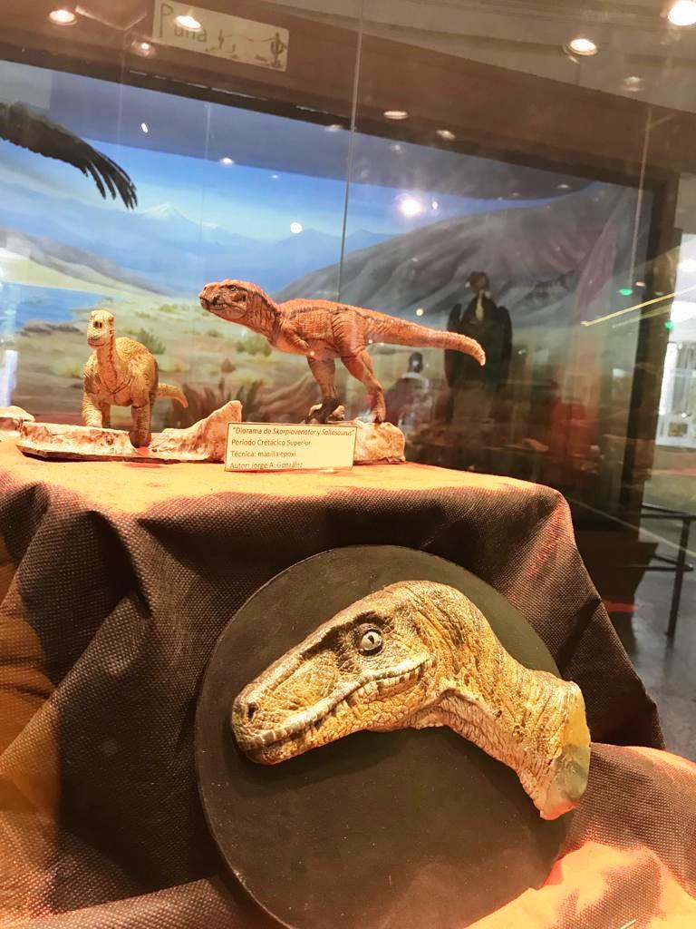 DINOS MUSEO 6