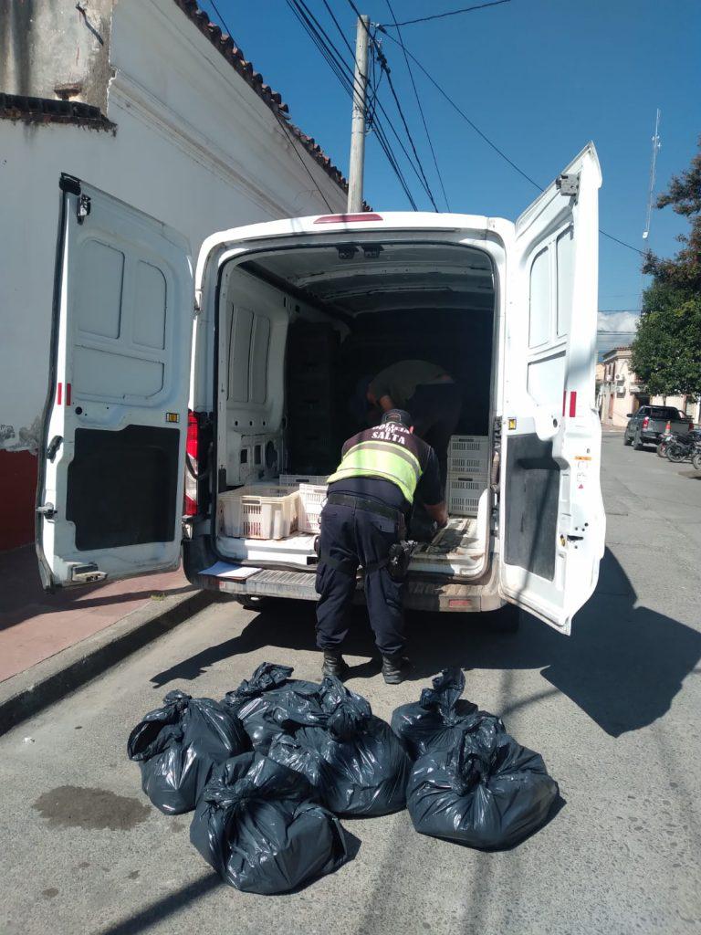 Pollo en mal estado 03