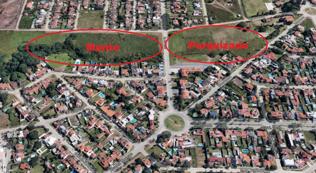 yuyos zanjon grand bourg