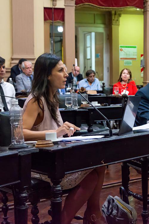 Reforma Constitucional 04