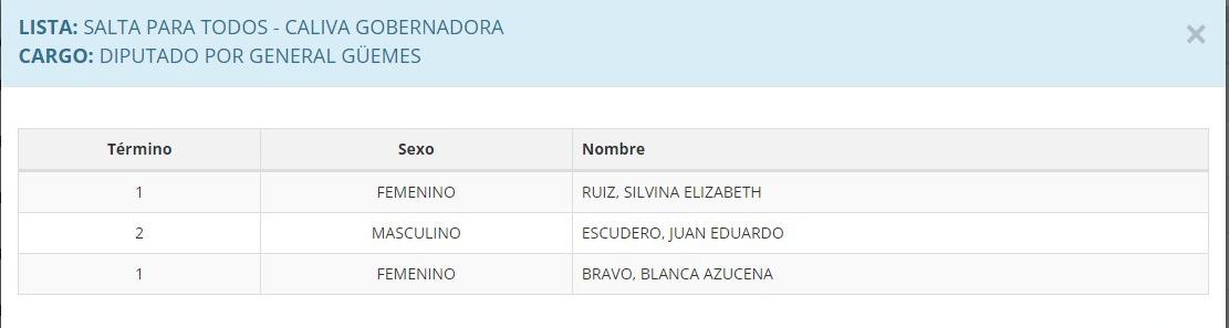 Salta para Todos - Dip Guemes