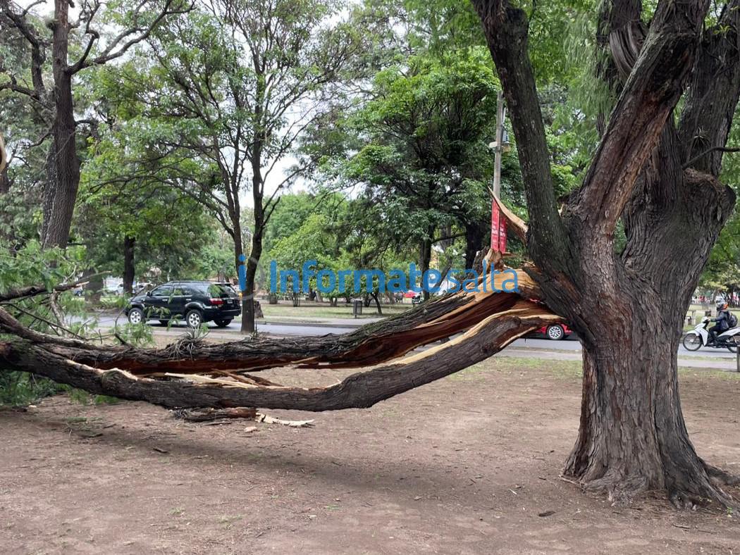 WhatsApp Image 2023-12-04 at 13.36.31