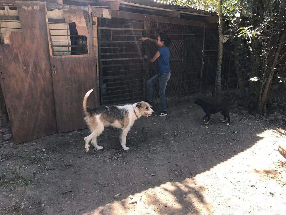 Movimiento de Luz (2)