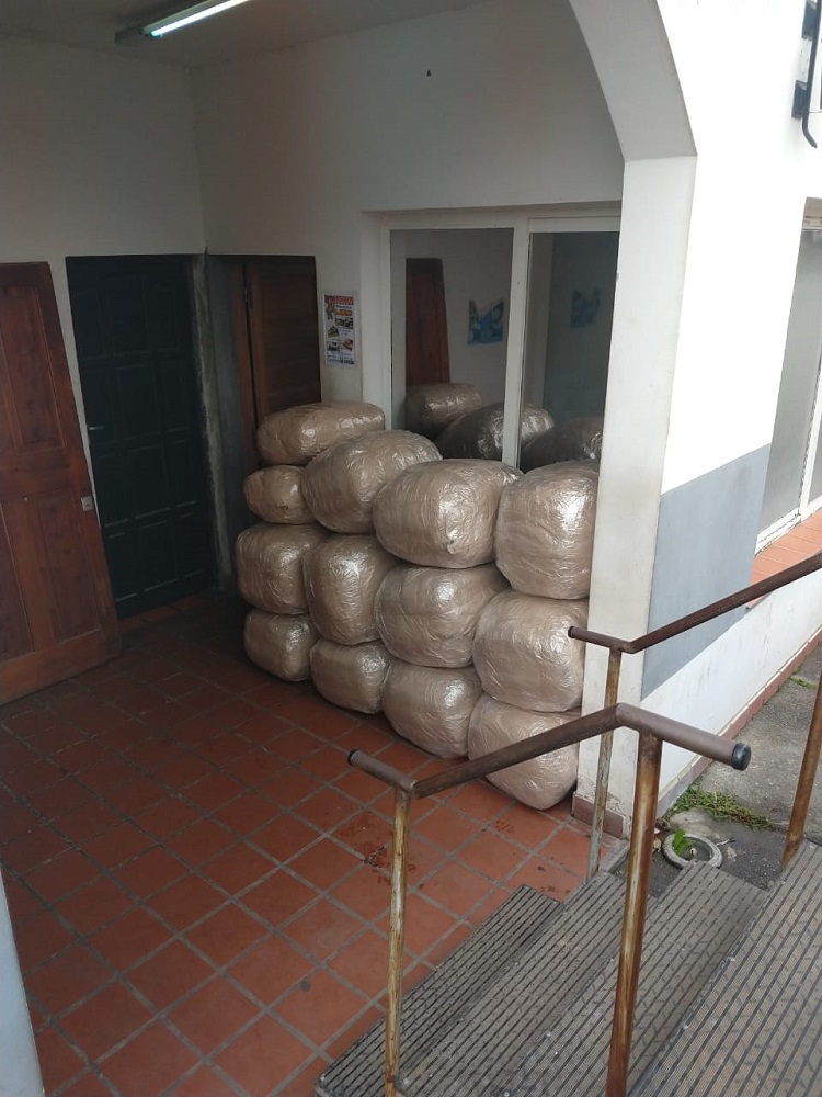 WhatsApp Image 2019-03-30 at 11.06.34 (1)