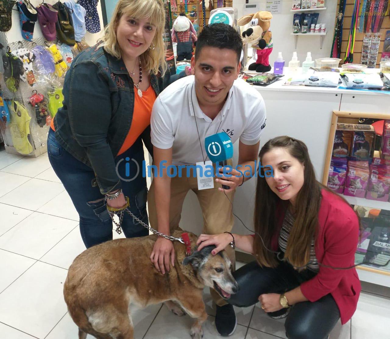 WhatsApp Image 2019-11-07 at 19.33.16