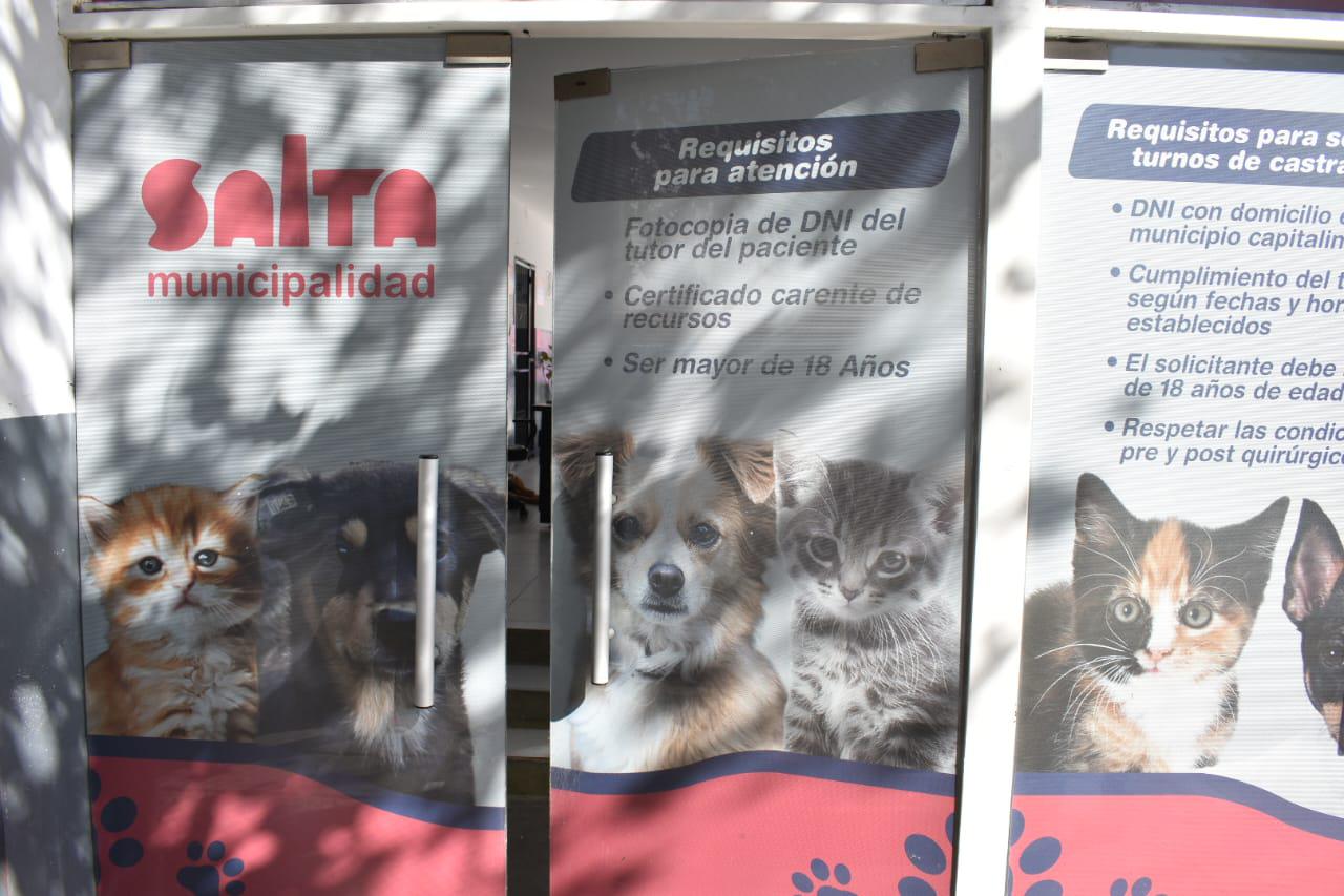 hospital-de-salud-animal-13