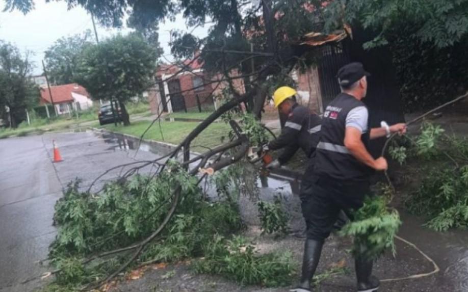 Ca Da De Postes Carteles Y Ramas Por R Fagas De Viento En Salta