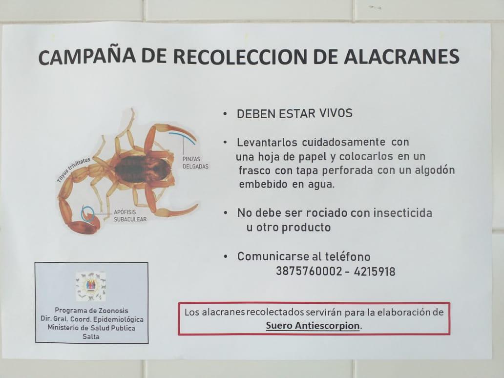 alacran