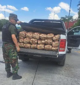 carbón secuestro aunor2