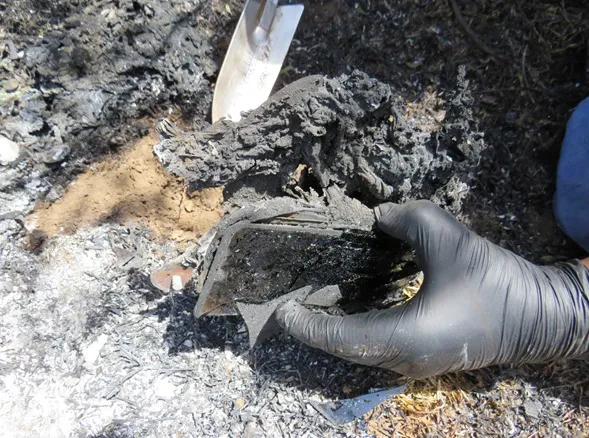 cordeyro elefante cerro