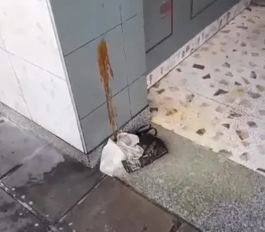 excremento en vereda