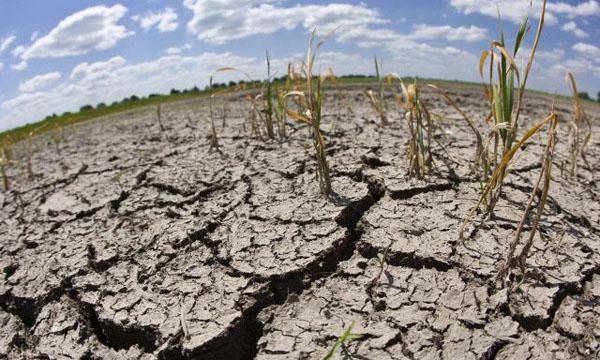 sequía en el norte provincial