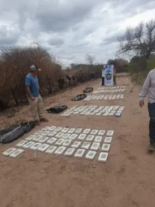 Cocaína enterrada 02