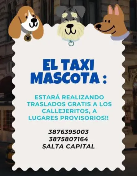 20102847-0f3e-4d78-b17c-8a22abe57816