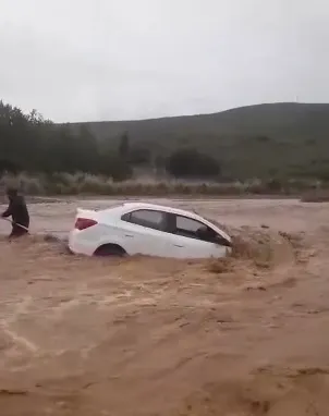 AUTOENRIOHIPOLITOYRI