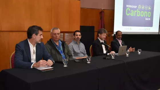 15621-cerca-de-150-referentes-participaron-del-workshop-provincial-de-carbono