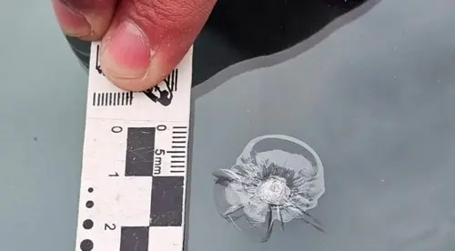 estudiantes de geología