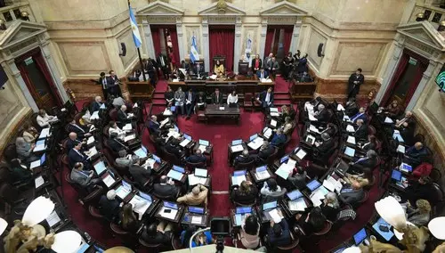 senado