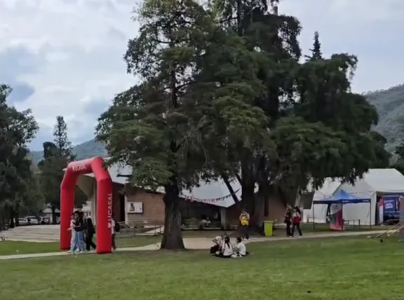 WhatsApp Image 2025-05-08 at 13.37.48