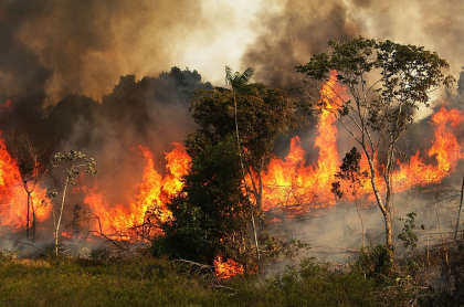 incendios en el Amazonas