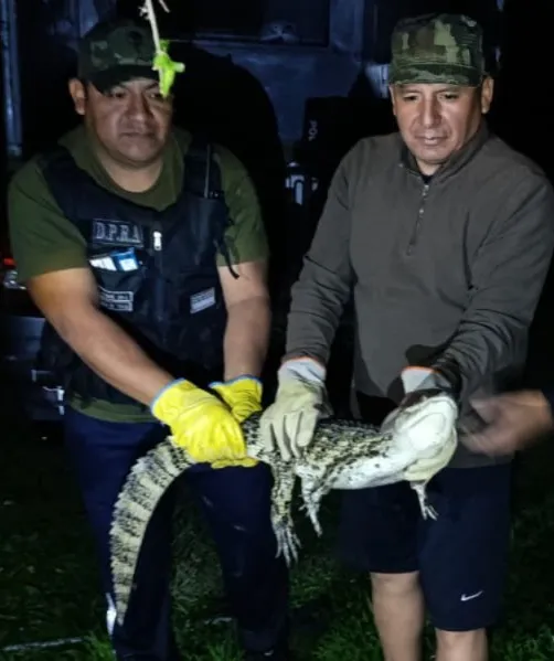 yacaré zona oeste secuestro2