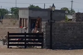 garita campo quijano