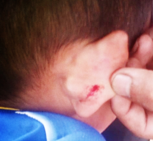 multimedia.miniatura.a11dd78c0bbf74f1.6e656e65315f6d696e6961747572612e6a706567