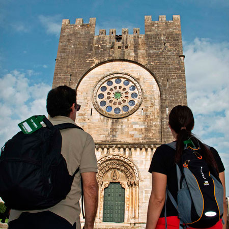 camino de santiago