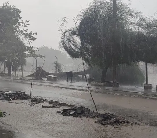 TEMPORALCOLONIASANTAROSA