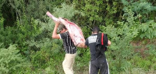 Gentileza Kenny Serrano