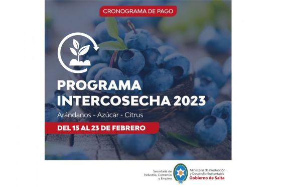 Programa Intercosecha 01