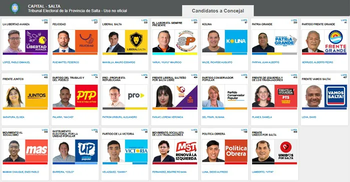 Concejales x capital candidatos simulador