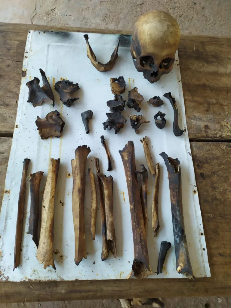 restos oseos  las lajitas