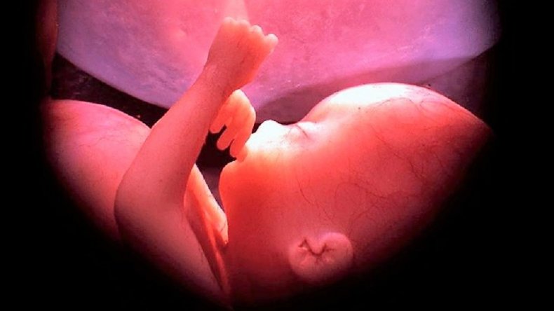 1477481892_534613_1477482519_noticia_normal