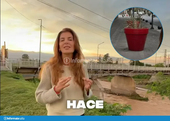 bettia romero puente macetas