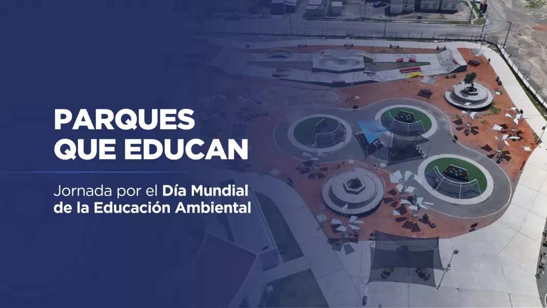 Día Mundial de la Educación Ambiental