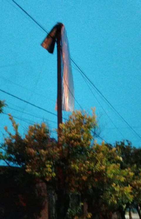 temporal quebrachal 2