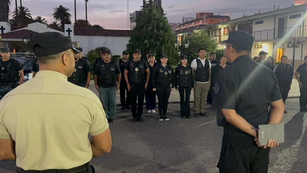 WhatsApp Image 2024-12-12 at 11.06.31 (1)