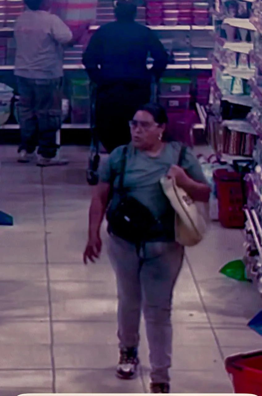 Robo Superlimpito 04