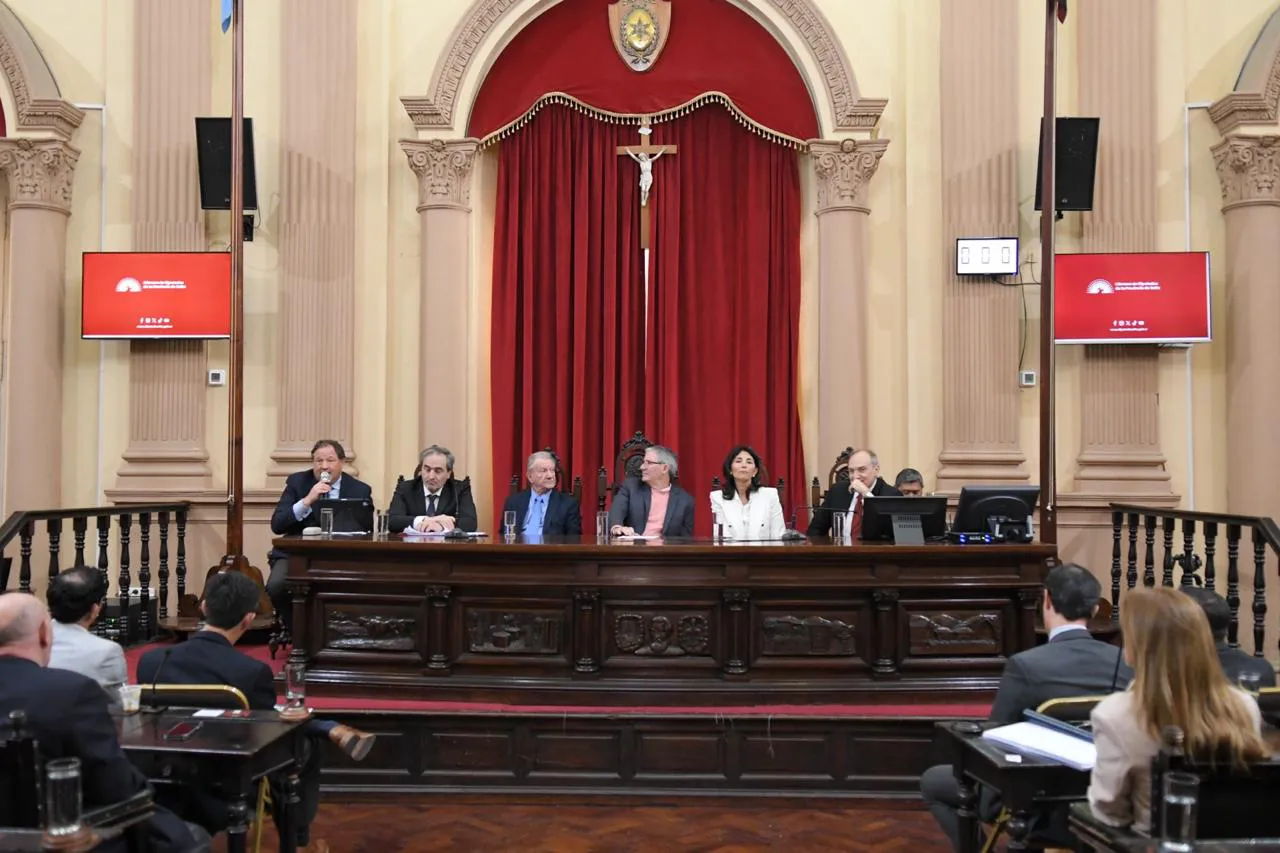 defensoria en diputados 3