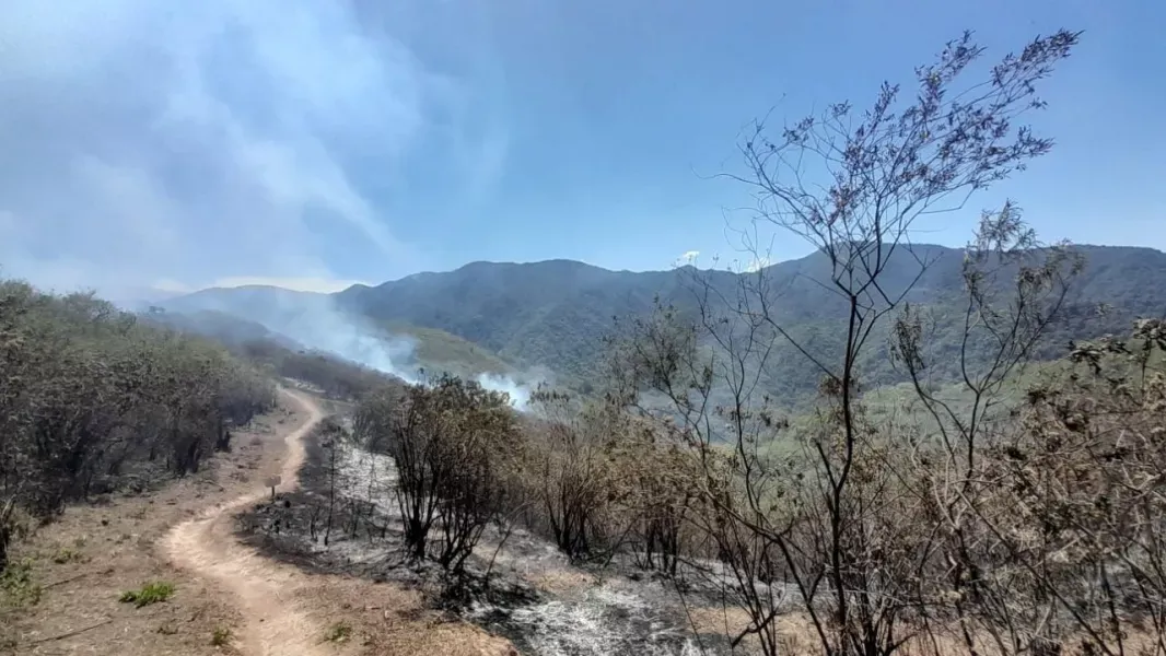 incendio cerro elefante