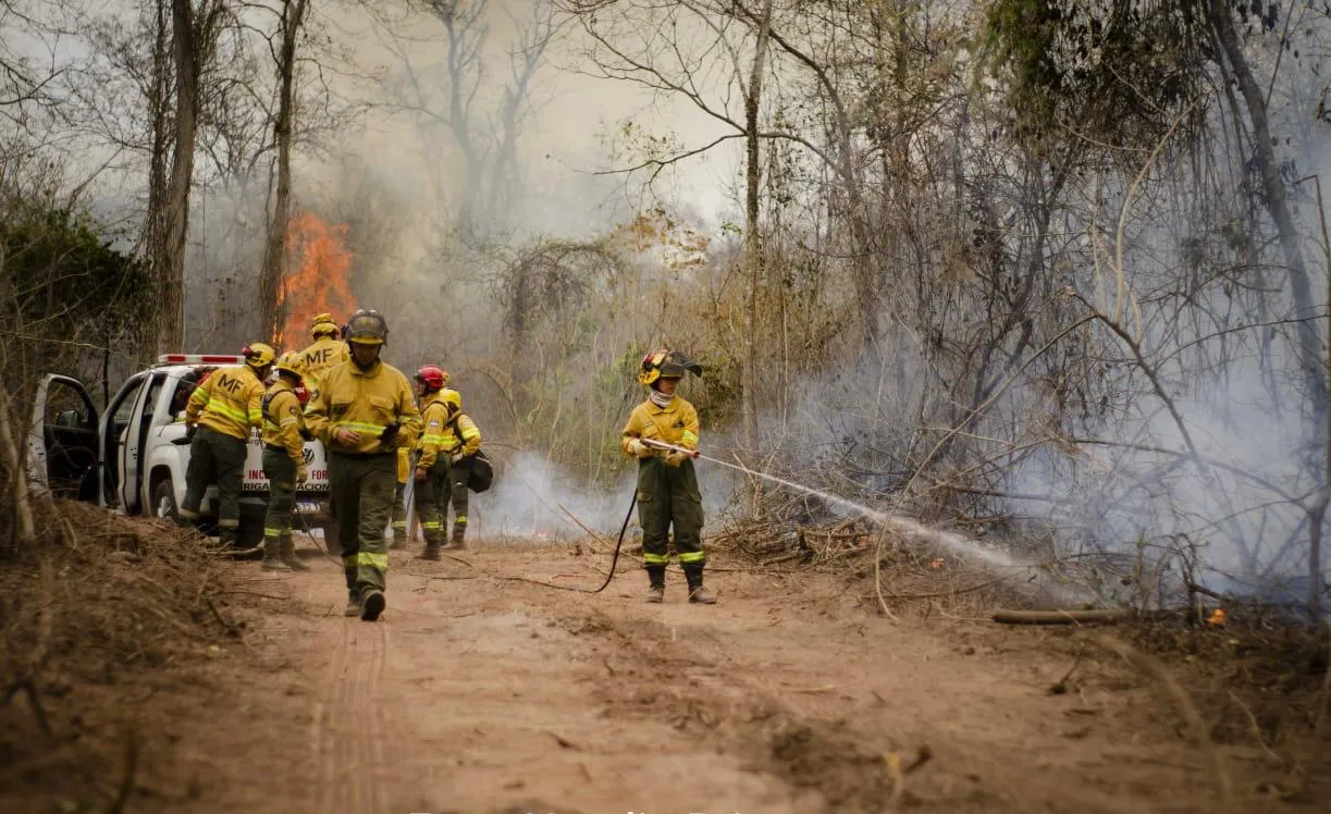 fuego norte bomberos