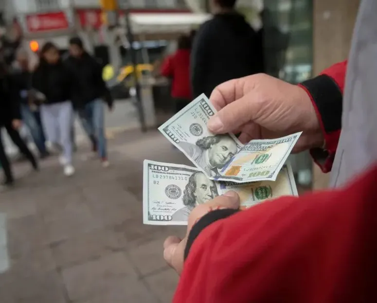 dolar arbolito blue dólar