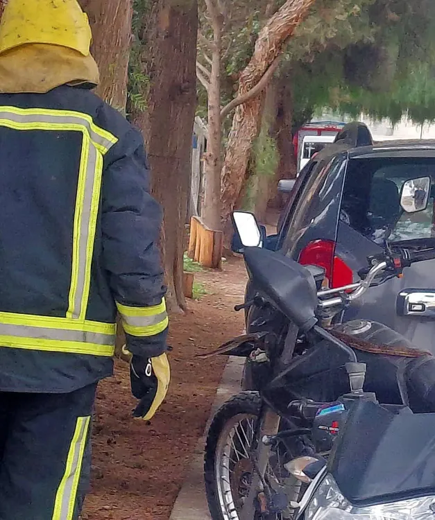 vibora cachi moto plaza3